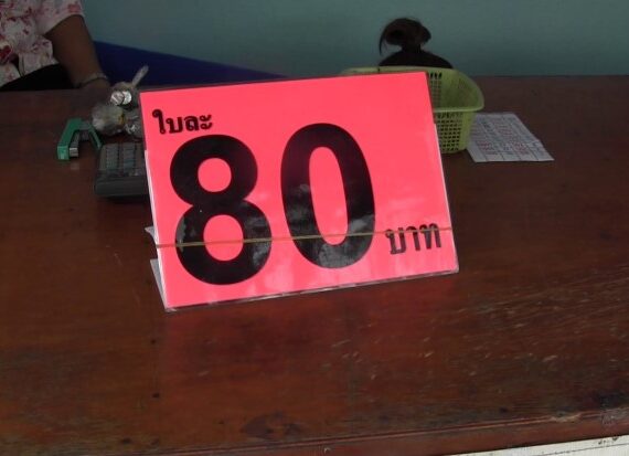 กองสลากพลัส