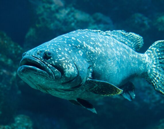 วิธีหาเงิน : กันไว้ก่อน ให้อ่าน 1 บทความให้เข้าใจ!