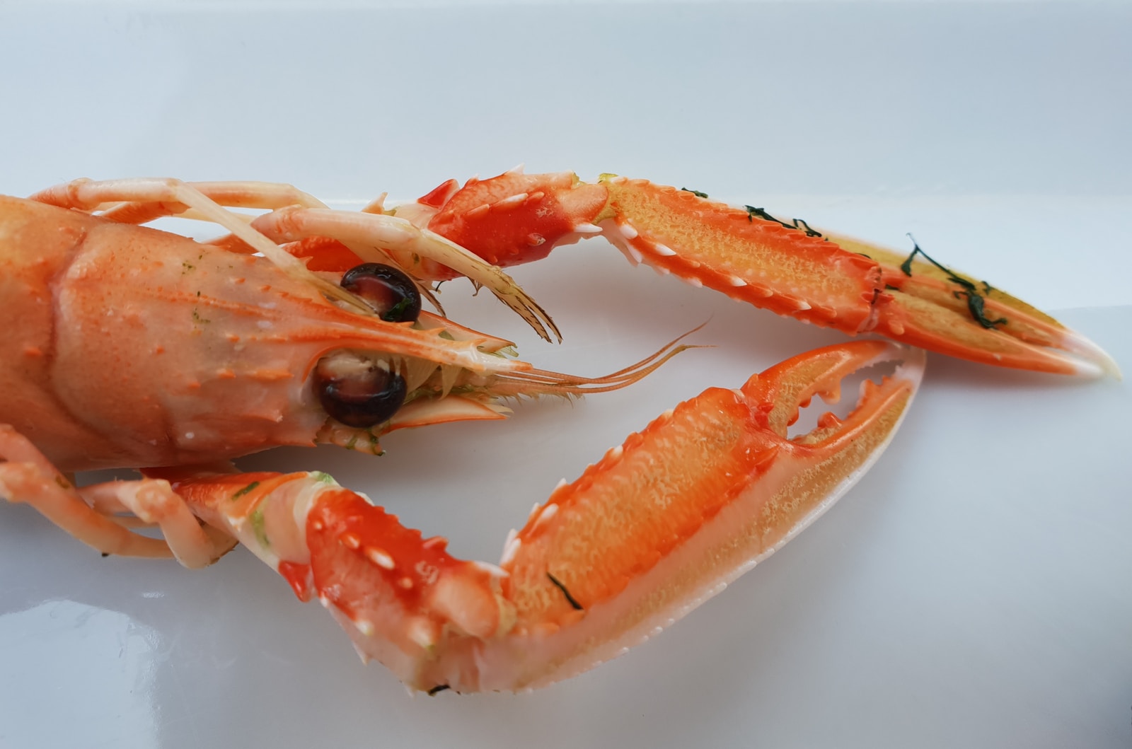 เทคนิคการ โกงน้ำเต้าปูปลา โกงยังไงให้ได้เงิน 95% 3 騙葫蘆、蟹、魚的技巧 如何作弊獲得 95% 的錢