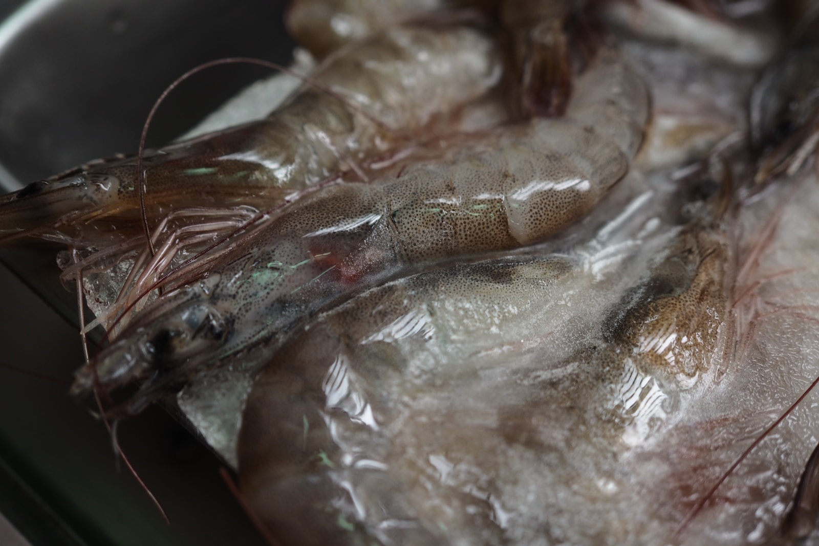 น้ำเต้าปูปลา : วิธีการเริ่ม "ไก่" ในแต่ละวัน? 2 brown and green plastic pack