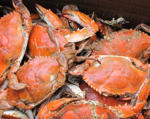 น้ำเต้าปูปลา กองสลาก สุดยอดช่องทางทำเงินรูปแบบใหม่